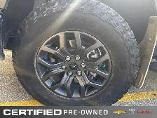 2023 Ford F-150 Tremor | 4X4 | Heated | Cooled Leather - Photo 19