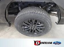 XLT, 5.5' BOX, 3.5L, BLACK APPEARANCE  , LEATHER - Photo 6