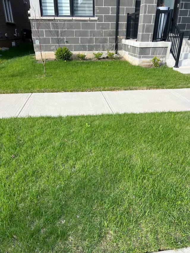 grass cutting and weed control 289–772-7822