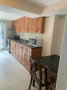 walkout basement 2 bedrooms unit for rent - Photo 2