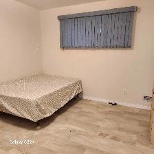 Newly Remodeled Room for Rent – Working Male or Retiree Welcome - Photo 9