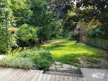 CHARMING 3 BEDROOM BUNGALOW FOR RENT IN DOWNTOWN ORANGEVILLE - Photo 3