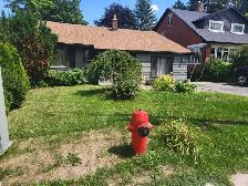 CHARMING 3 BEDROOM BUNGALOW FOR RENT IN DOWNTOWN ORANGEVILLE - Photo 10