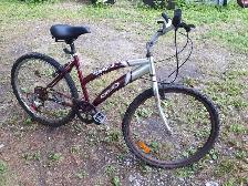 Retro Bicycle  FREE - Photo 2
