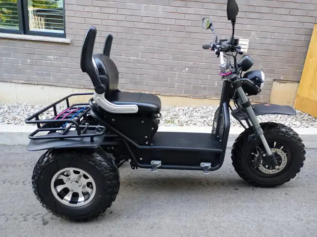 ELECTRIC SCOOTER
