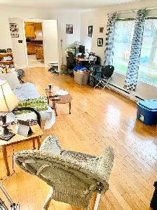 Room For Rent (Large Downtown 2 Bedroom Apartment) - Open Now