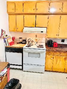 Room For Rent (Large Downtown 2 Bedroom Apartment) - Open Now - Photo 3