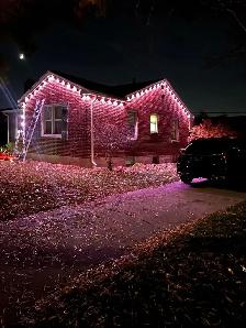 Christmas Lights Installation - Photo 4