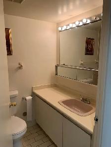RENTING 2 1 CONDO UNIT - Photo 3