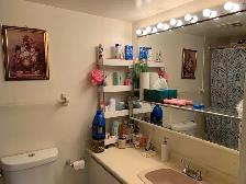 RENTING 2 1 CONDO UNIT - Photo 4
