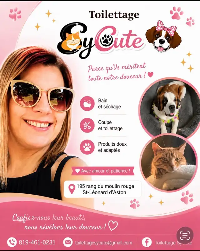 toilettage chat et chien