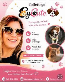 toilettage chat et chien