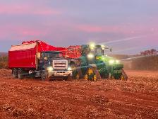 Potato Truck Drivers Needed! - Photo 2