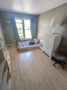 4 min to Algonquin. Woodroffe/Majestic, all inclusive. ASAP - Photo 4