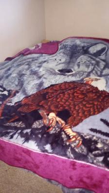 ROOMMATE WANTED - Photo 4