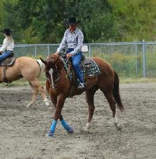 6 year old APHA mare - Photo 7