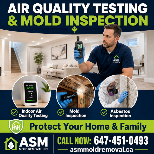 Air Quality Testing, Mold Inspection Test