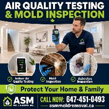 Air Quality Testing, Mold Inspection Test