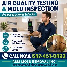 Air Quality Testing, Mold Inspection Test - Photo 2