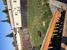 Townhouse for rent in Thickwood - Photo 7