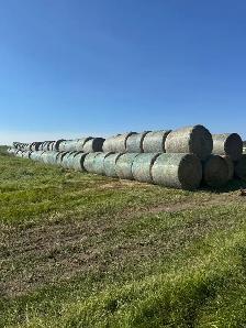 Beautiful First Cut hay with Analysis - Photo 5