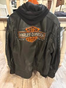 Harley Davidson gear - Photo 2