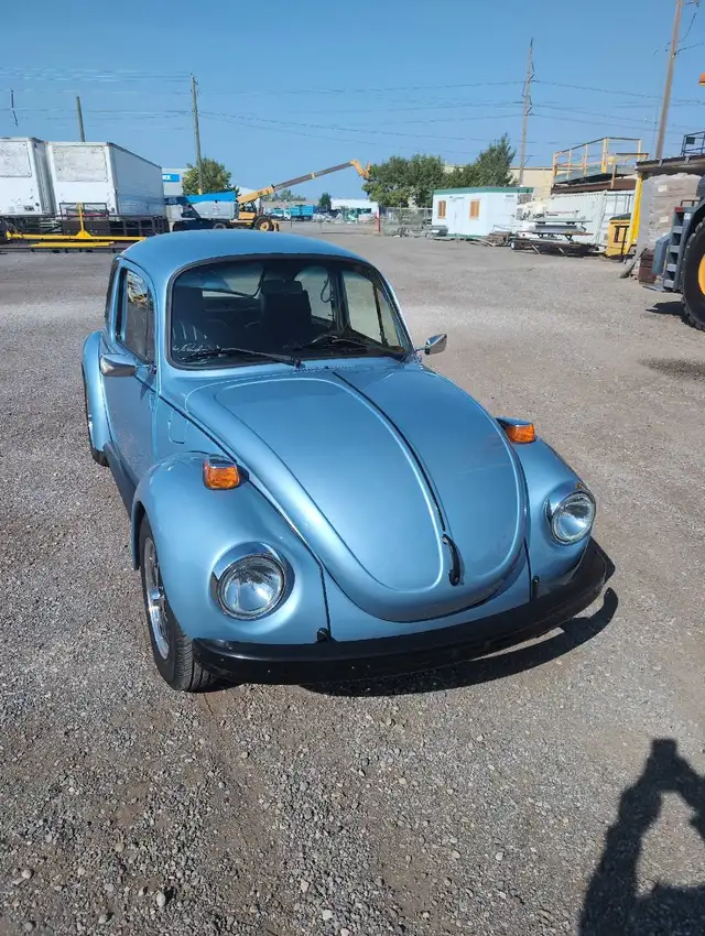 Volkswagen beetle