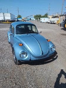 Volkswagen beetle