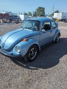 Volkswagen beetle - Photo 2