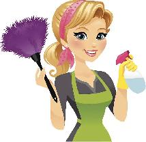 EXPERIENCED CLEANER AVAILABLE!