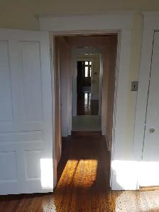 Heat/Wat/PK Included | Downtown Halifax 1 BR - Victorian Style - Photo 6