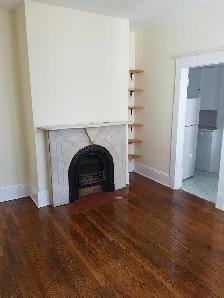 Heat/Wat/PK Included | Downtown Halifax 1 BR - Victorian Style - Photo 8