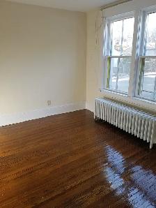 Heat/Wat/PK Included | Downtown Halifax 1 BR - Victorian Style - Photo 10