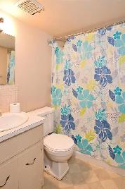 1 Bed Bsmt walking distance to Marlborough Mall and Train Statio - Photo 4