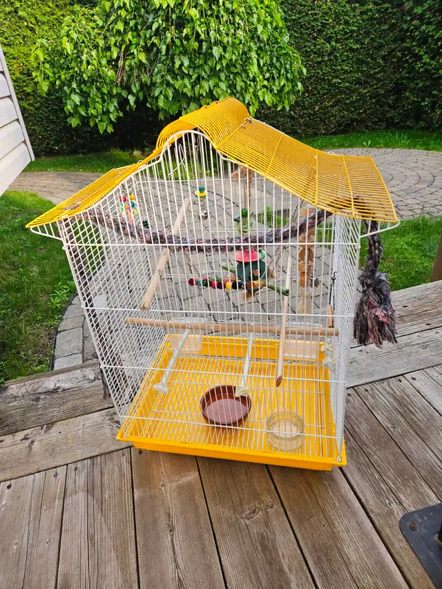 Large Bird Cage Accessories//Grande cage à oiseaux Accessoires