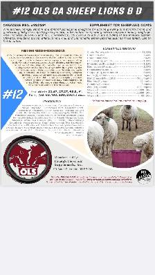 OLS Livestock Supplement Tubs - Photo 4