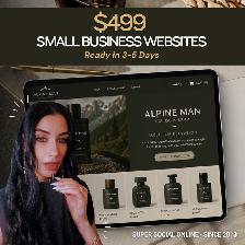 $499 SMALL BUSINESS WEBSITES | Professional Website in 3–5 Days