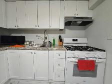 short or Long term 1 or 2 bedroom basement for rent - Photo 7