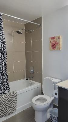 Large furnished 1 bedroom Condo with wifi parking Yonge&Steeles - Photo 6