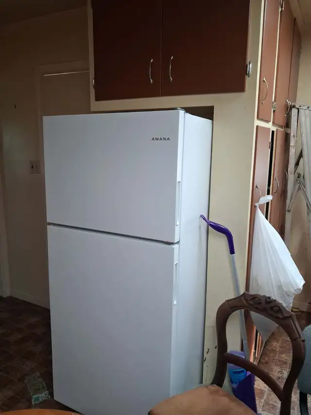 Amana 18 cu. ft. fridge