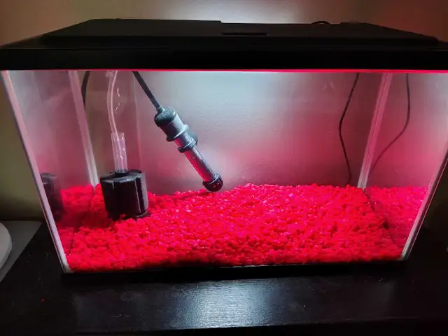 5 gal fishtank