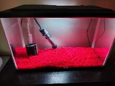 5 gal fishtank
