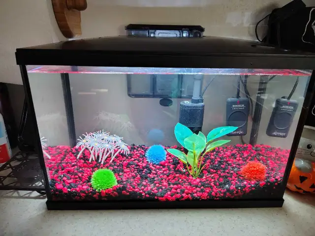 5 gal fishtank