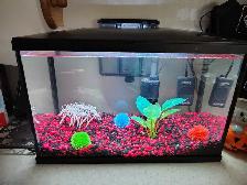 5 gal fishtank