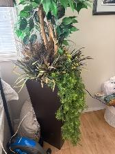Tall artificial tree in a large container - Photo 2