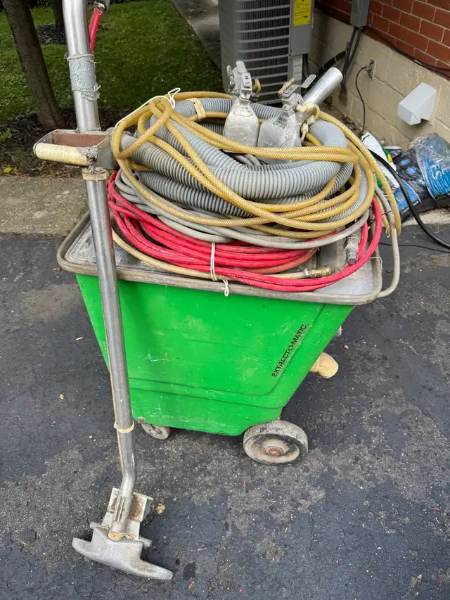 Professional Carpet Cleaner