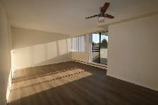One Bedroom Apartment Steps from Seawall - Photo 3
