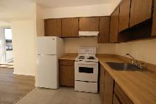 One Bedroom Apartment Steps from Seawall - Photo 5