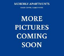 One Bedroom Apartment Steps from Seawall - Photo 7