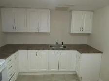 Large Beautiful Basement Apartment for Rent! - Photo 3